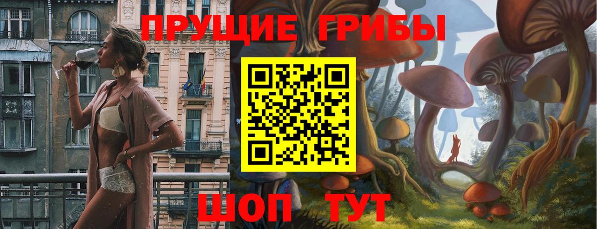 Галлюциногенные грибы Psilocybine cubensis  Уссурийск 