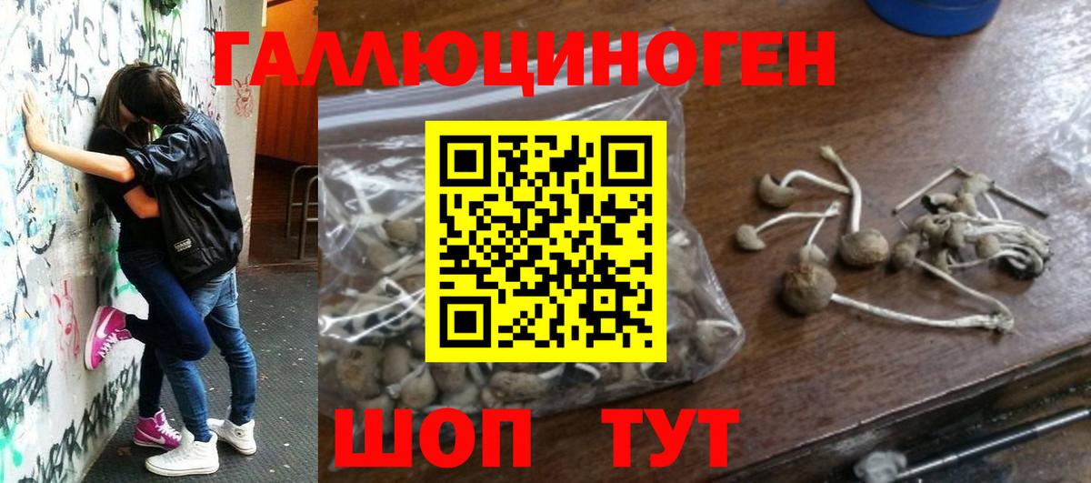 Галлюциногенные грибы мухоморы  Галлюциногенные грибы Cubensis  Вход с VPN  Уссурийск 