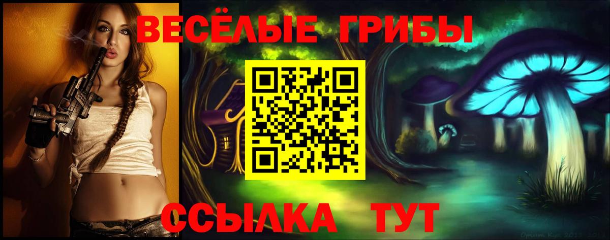 Псилоцибиновые грибы мицелий Уссурийск