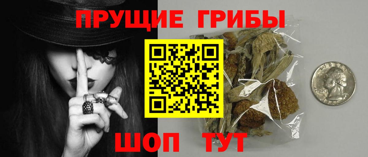 Псилоцибиновые грибы мицелий Уссурийск